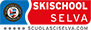 Skischool in Selva in Val Gardena